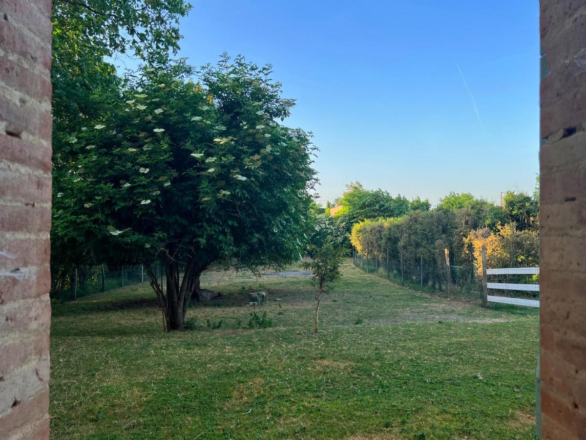 Residence La Salamandre Kamers Rabastens Экстерьер фото