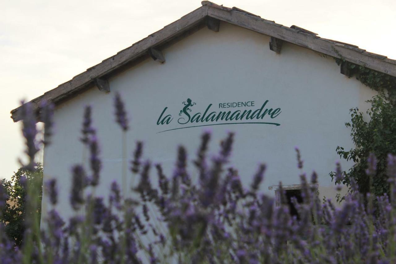 Residence La Salamandre Kamers Rabastens Экстерьер фото